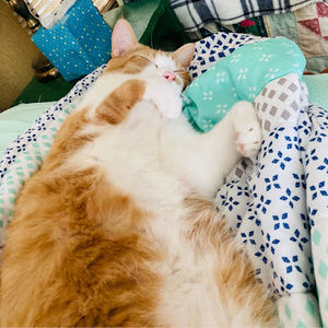 Meet your Posher, Chloe